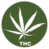 Variedades de Μarihuana con más THC